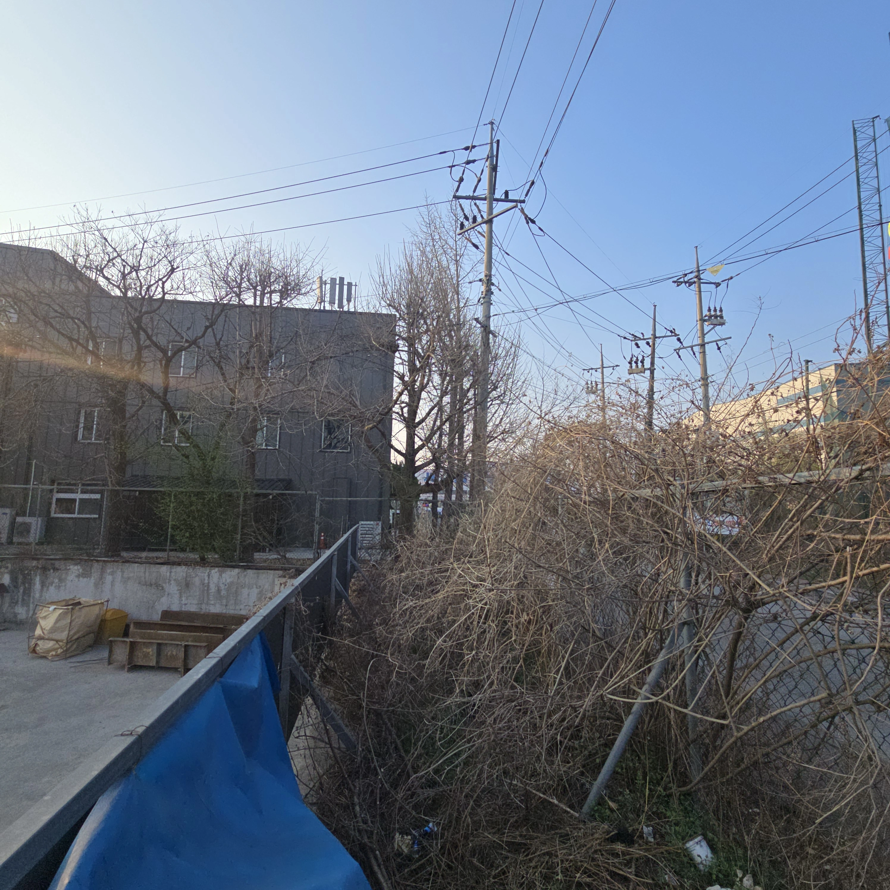 수원 공장 덩굴 제거 전 현장